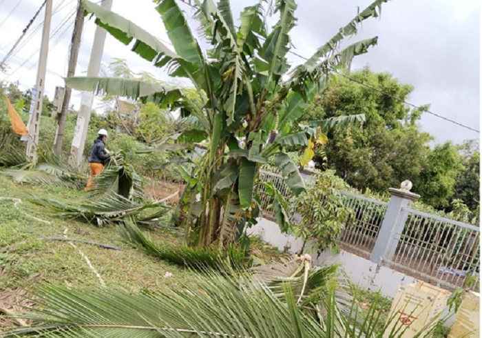Điện lực Ea H’leo đảm bảo cấp điện thông suốt trong dịp Tết Nguyên Đán – Xân Quý Mão năm 2023